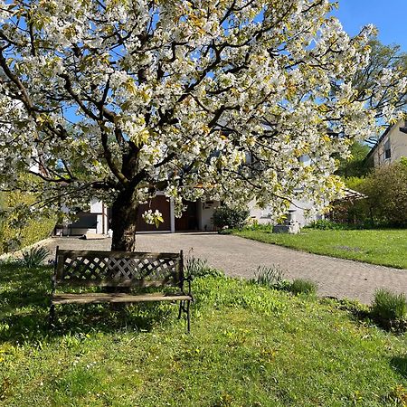 Ferienwohnung Am Kirschbaum Uhldingen-Muehlhofen Luaran gambar