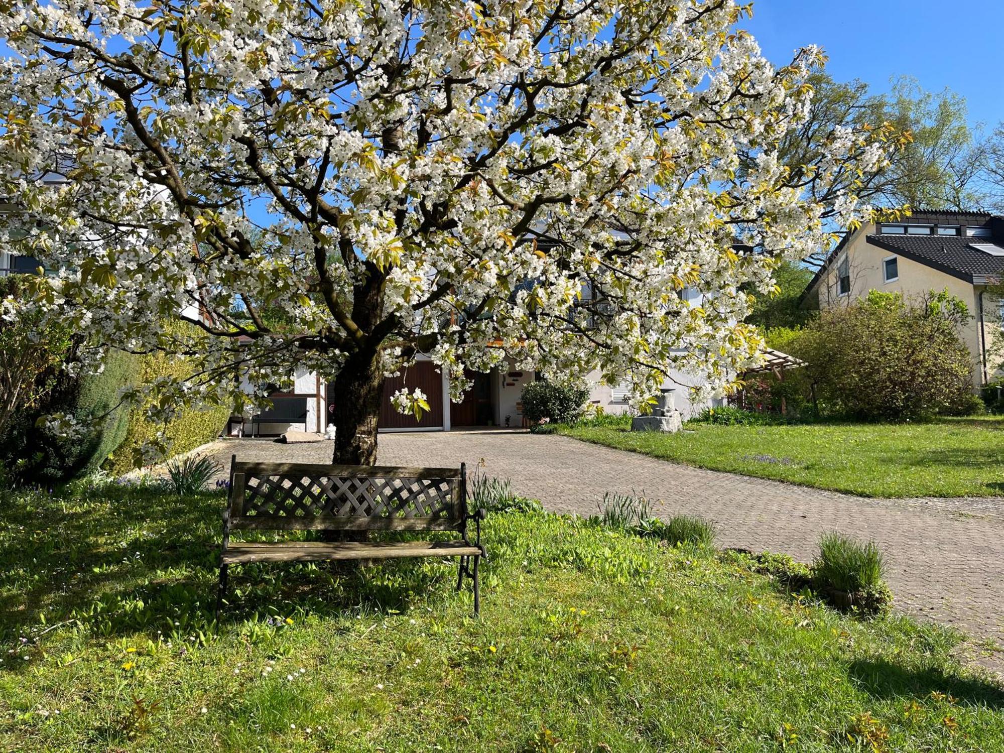 Ferienwohnung Am Kirschbaum Uhldingen-Muehlhofen Luaran gambar